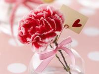 12星座妈妈的母亲节礼物