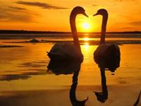 李建军一周生肖运势（2015.5.17-5.23）