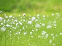 塔罗右手一周运势（2015.5.15-5.21）