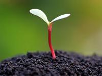 洁安生命灵数一周运势（2015.5.18-5.24）