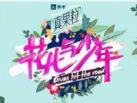 如果12星座参加《花儿与少年》