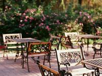 玛利亚2015年8月狮子座运势