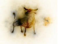 金牛座友情无疾而终的原因