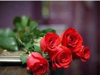 你是不是一个浪漫的人