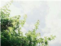 氧气占星2015年9月星座运势