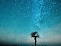 乔瑟夫2015年9月星座运势