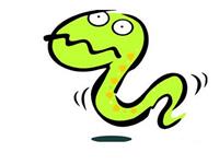 属蛇的人2016年每月运程