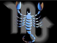 醉酒后的天蝎座