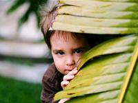 12星座胆量排行榜
