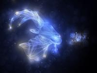 摩羯座的破财盲点