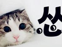 最爱装怂的星座男明星