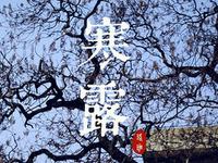 寒露运势不利需警惕的生肖