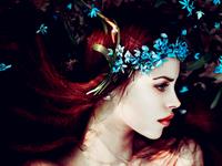 金钱和长相成正比的星座