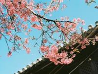 测出你成为“土豪”的必要因素