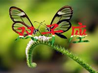 双子男对爱情的选择方式