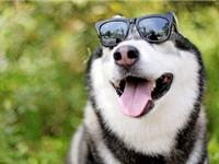 正常人无法理解的星座top3