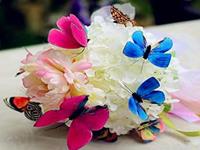 测测你哪方面最与众不同