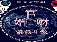 紫微斗数看你2016的婚象