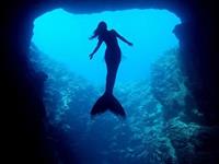 占卜你最怕失去什么？