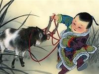 2016年生肖羊求子指南