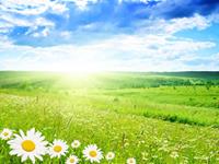 懒得和人斤斤计较的四大星座