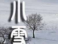 生肖虎小雪开运养生指南