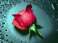 占卜你会和别人竞争爱情吗？