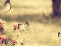 怎样的梦越做越霉，越做越衰？