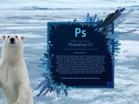 哪些星座女最爱P图