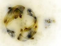 双鱼座的幸运物