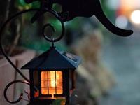 塔罗占卜你内在美