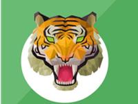 十二月生肖虎运程点评