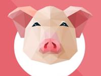 十二月生肖猪运程点评