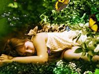 要做美梦的六条秘诀