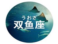 双鱼座如何处理年末带来的压力