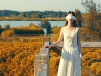 熊神进2016年猴年鸡生肖运程