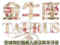 金牛座过圣诞大秘笈