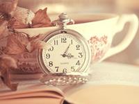 什么人会让12星座无理由信赖