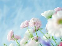 12星座面对前任要求复合的态度