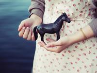 双星记2016年星座运势