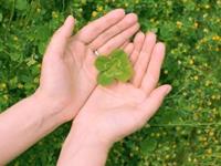 塔罗占卜你最近有霉运吗？