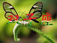 职场中双子座拿什么来保护自己