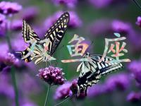 职场中双鱼座拿什么来保护自己