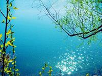 新年哪些人需要“躲春”？