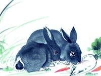 2016属兔人的作为