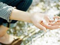 2016年没桃花的生肖