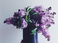 小乖麻根登卓玛2016年双鱼座年运