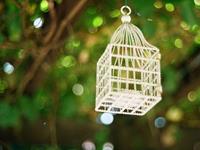 肖百奇属鼠的人2016年整体运势