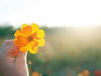 从生肖看你最重视什么？