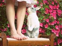 Julia Chen 2016年3月天秤座运势